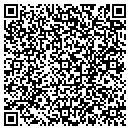 QR code with Boise Crane Inc contacts
