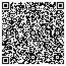 QR code with Cjns Properties LLC contacts