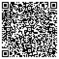 QR code with Amway contacts