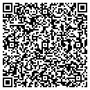 QR code with Premier Tans contacts