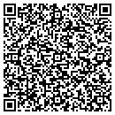 QR code with Pyrite Hydrochem contacts