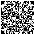 QR code with Mr D's contacts