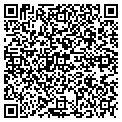 QR code with Signhype contacts