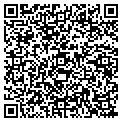 QR code with Buckle contacts