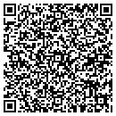 QR code with Blue Ribbon Cleaning contacts