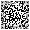 QR code with Dillys contacts