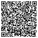 QR code with D G Rv contacts