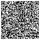QR code with Blimpie Subs & Salads contacts