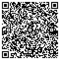 QR code with Shell contacts