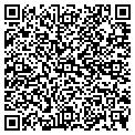 QR code with Pipeco contacts