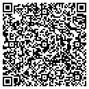 QR code with Public Works contacts