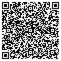 QR code with Silver contacts
