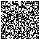QR code with Pulaski Main Office contacts