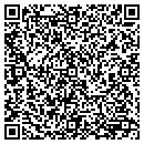 QR code with Ylw & Associate contacts