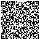 QR code with Brizgys Anthony E Dvm contacts
