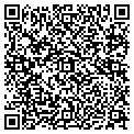 QR code with BFM Inc contacts