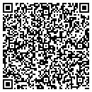 QR code with Brian's Tire & Service contacts
