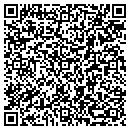 QR code with Cfe Consulting Inc contacts