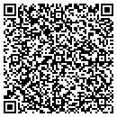 QR code with Pulliam Masonry Inc contacts