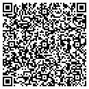 QR code with Public Works contacts