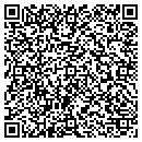 QR code with Cambridge Systematic contacts