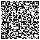 QR code with Preferred Electrical contacts