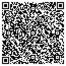 QR code with Precise Construction contacts