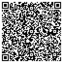 QR code with Putnams Construction contacts