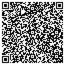 QR code with Project 9x contacts