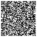 QR code with Cybermedia Services contacts