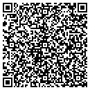 QR code with Process & Power Inc contacts