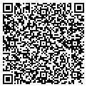 QR code with Willows contacts