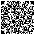 QR code with Digest contacts