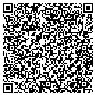 QR code with Publicintellectualsorg contacts