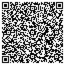 QR code with Carlson Brothers Inc contacts