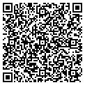 QR code with Belfor contacts