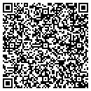 QR code with Castle Island Press contacts