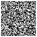 QR code with Synergy Consulting contacts