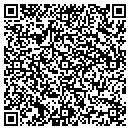 QR code with Pyramid Mfg Corp contacts