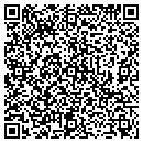 QR code with Carousel Concepts Inc contacts