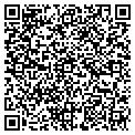 QR code with Estima contacts