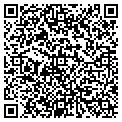 QR code with D Main contacts