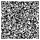 QR code with Pudik Graphics contacts