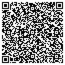 QR code with Collier Environmental contacts