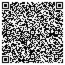 QR code with Chicago Gold Gallery contacts