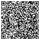 QR code with Cleanups Janitorial contacts
