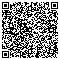QR code with Tsgi contacts