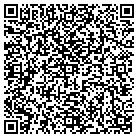 QR code with Public Allies Chicago contacts