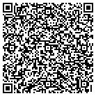 QR code with Public Utility Div contacts