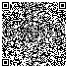 QR code with Pulaski Cnty Internal Auditor contacts
